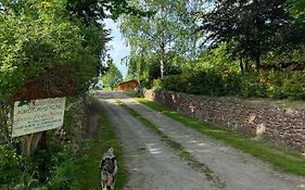 Agroturystyka Lucyna Babińska